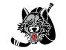 Chicago Wolves