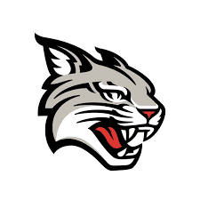 Davidson Wildcats