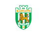 FK Karpaty Lviv