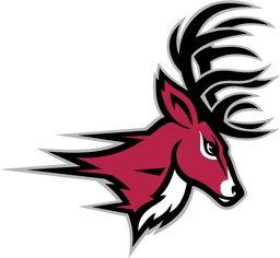 Fairfield Stags
