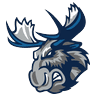 Manitoba Moose