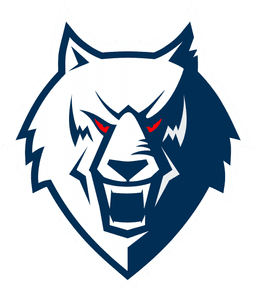 Neftekhimik Nizhnekamsk