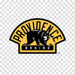Providence Bruins