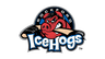 Rockford IceHogs