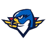 Springfield Thunderbirds