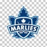 Toronto Marlies