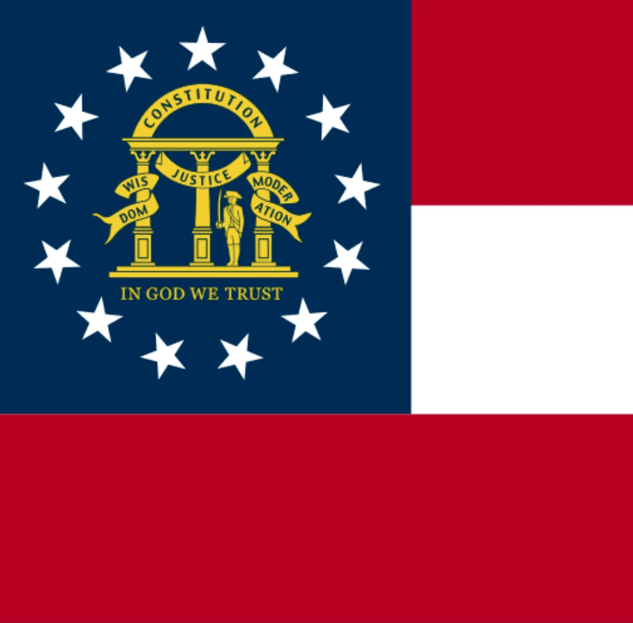 Georgia Senate - image
