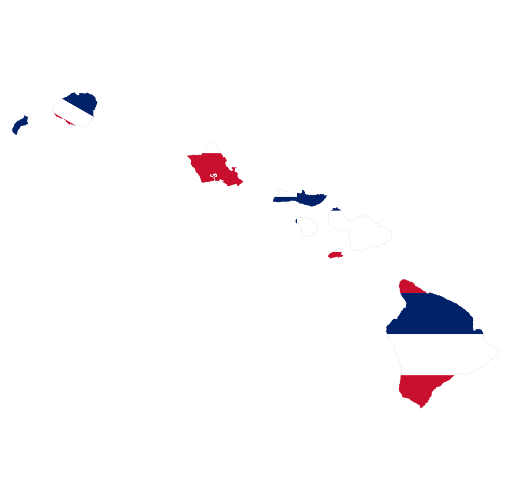 Hawaii Governor Election Winner