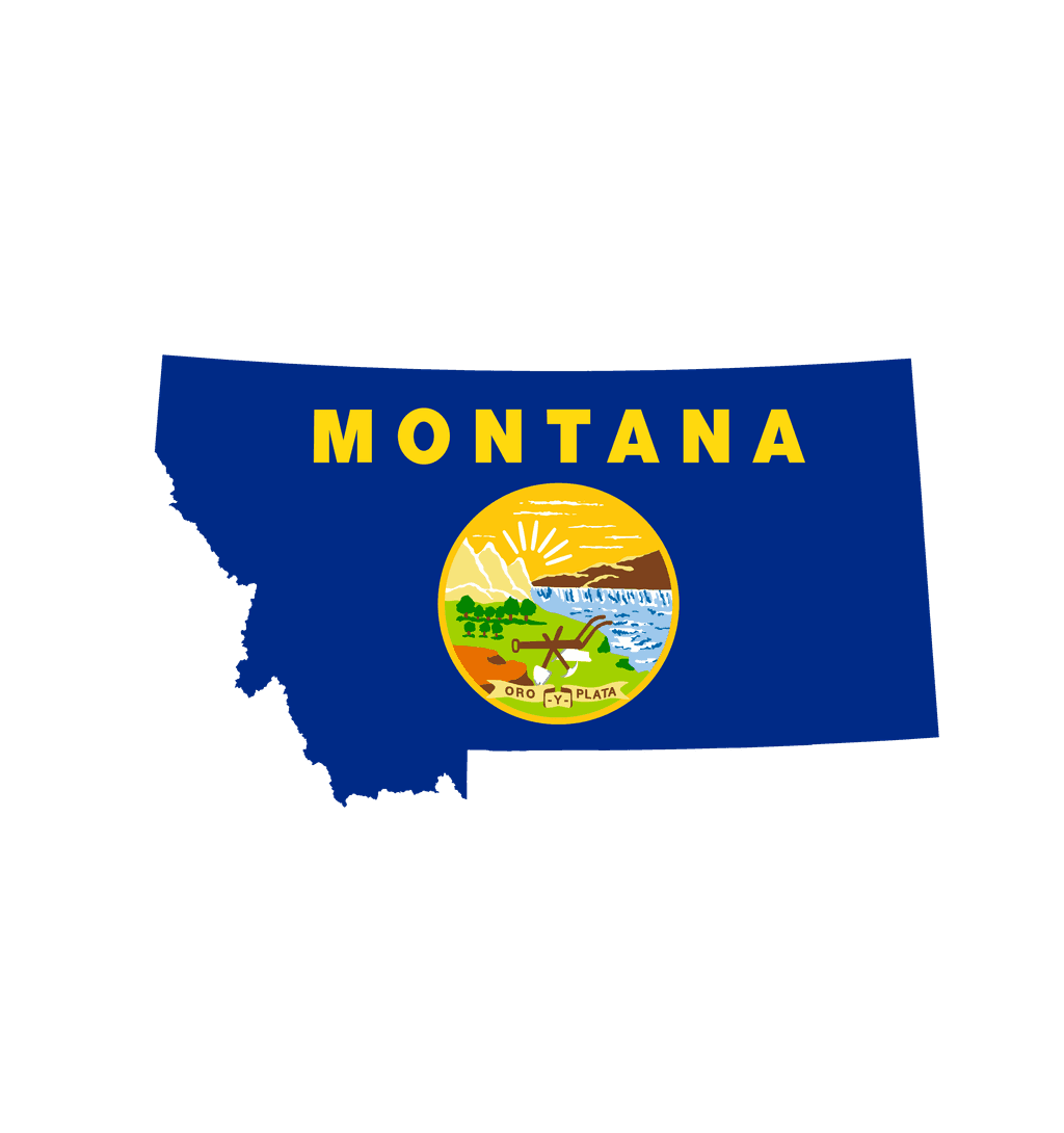 Montana Senate Election Winner card icon