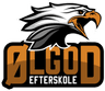 Ølgod Efterskole