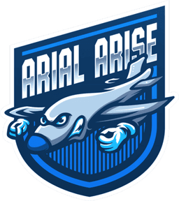 Arial Arise