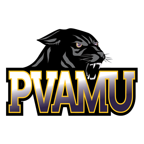 pvam icon