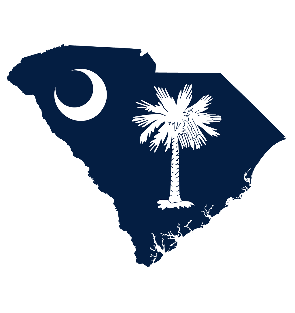 South Carolina Governor Election Winner card icon