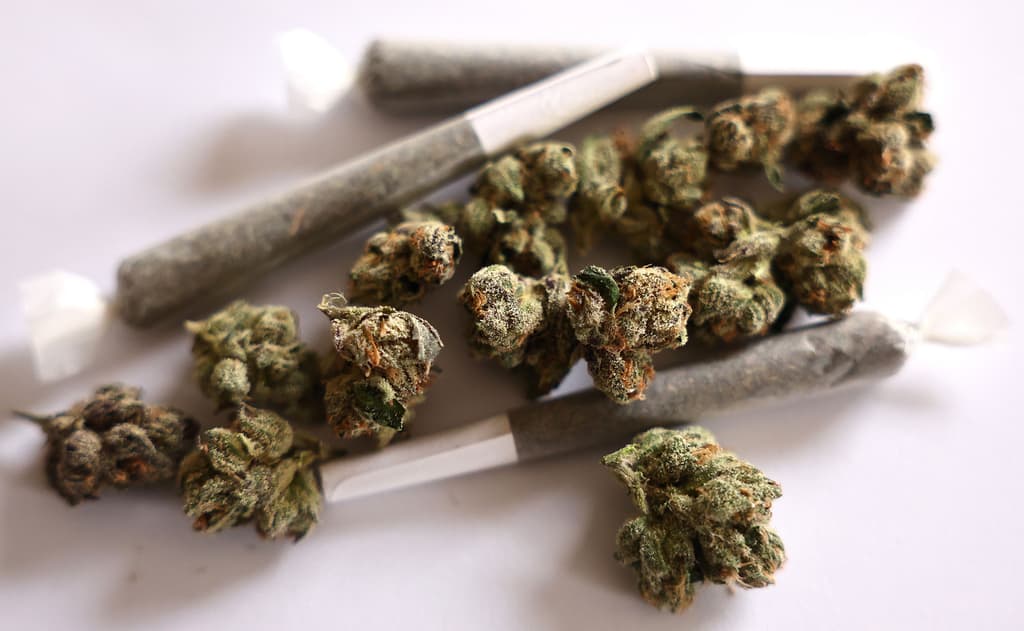 大麻會在6月30日前重新分類嗎？