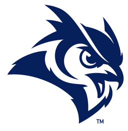 Rice Owls