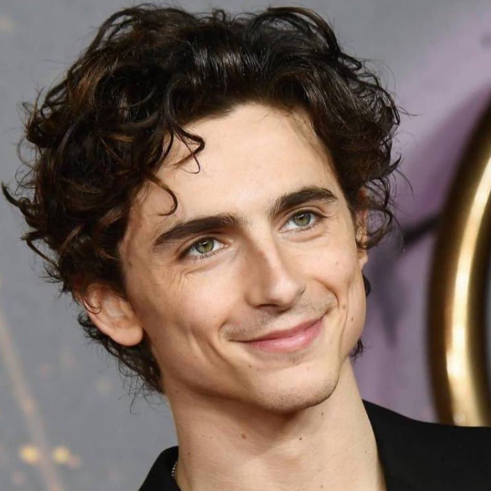 icon for Timothée Chalamet