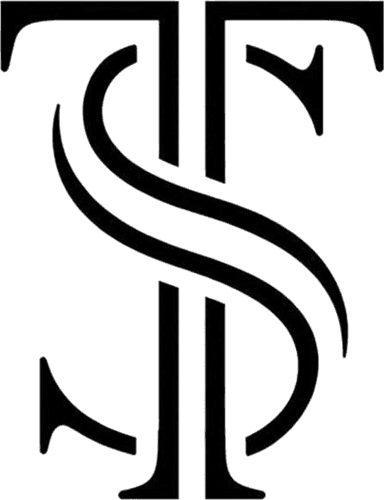 Team Stels