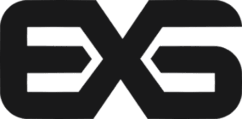 exs icon
