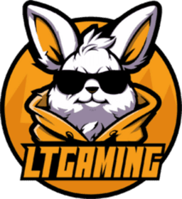 LT Gaming